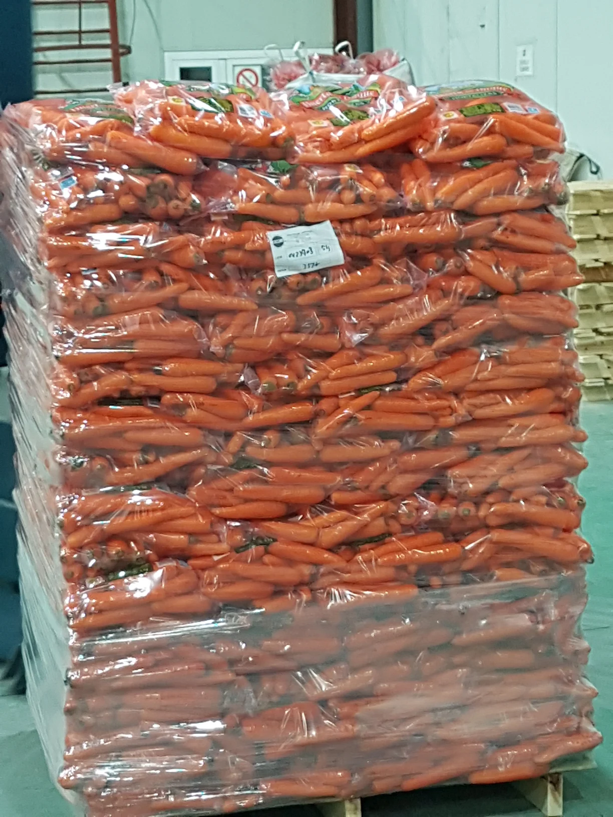 S Coop del Campo Glus I palet zanahorias envasadas.webp